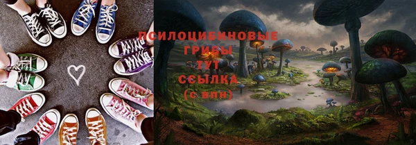 тгк Зеленокумск