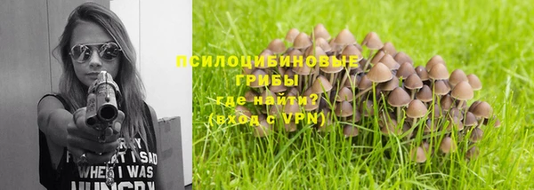 тгк Зеленокумск